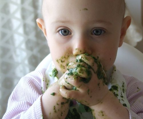 Toddler Eating Spinach