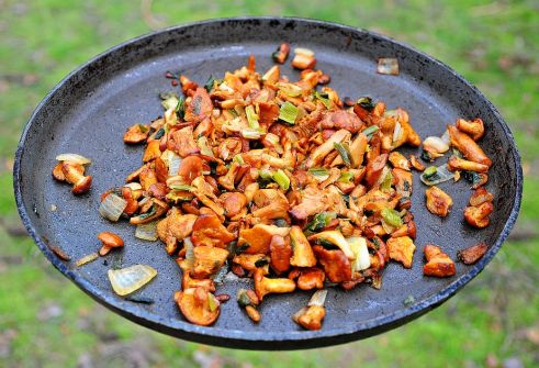 Healthy Food for Vegetarians - Mushrooms