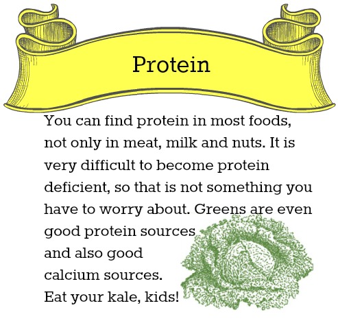 protein
