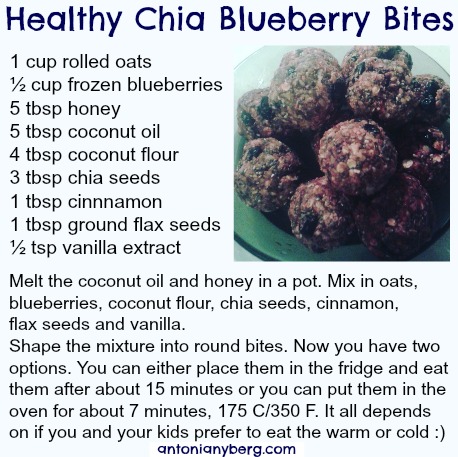 Chia Blueberry Snack